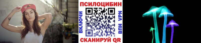 где купить наркоту  Арзамас  Галлюциногенные грибы Psilocybine cubensis 